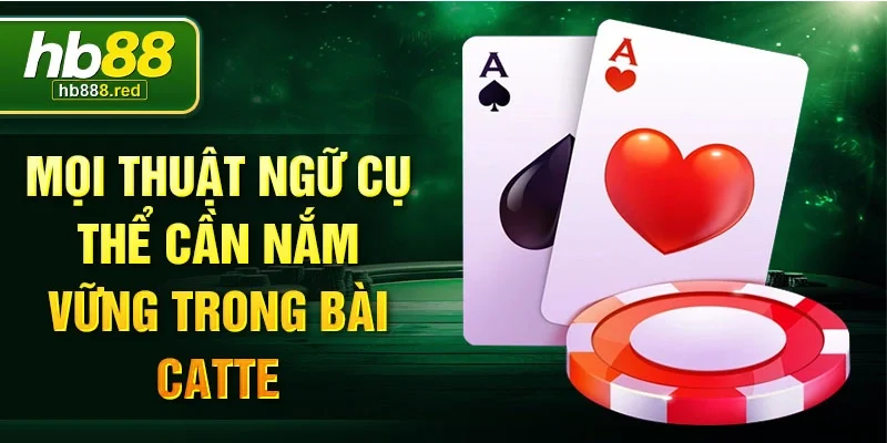 Mọi thuật ngữ cụ thể cần nắm vững trong bài Catte