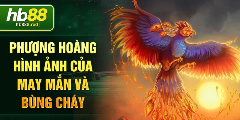 Phượng hoàng hình ảnh của may mắn và bùng cháy
